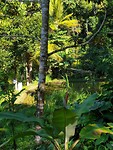 20190708_094816