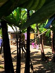 20190708_095400