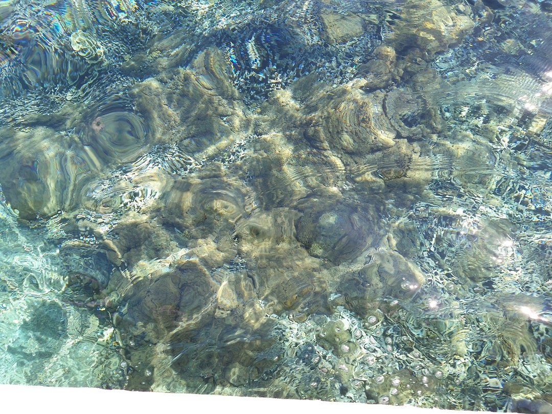 20190710_102729