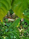 20190708_105314