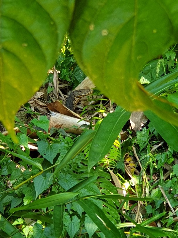 20190708_105314