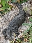 20190712_170057
