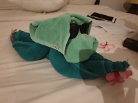 20190714_183429