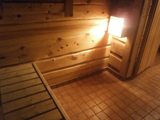 Sauna in onze "log cabin"