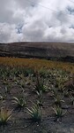 VID_20230309_143852