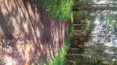 Dit is het terrein wat we uiteindelijk de hele weg zullen lopen.