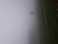 Zooooo vroeg.