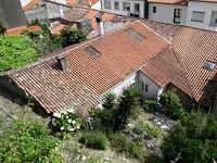 Stadstuintjes