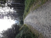 Nog een laatste toer door het bos