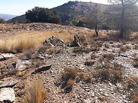 20201005_113038