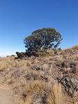 20201005_110604