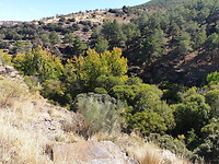 20201007_131138