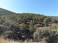 20201007_123417
