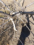 20201007_121817