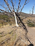 20201007_121810