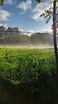 IMG-20220511-WA0002