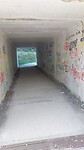 IMG-20220513-WA0047