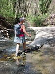IMG-20240412-WA0018