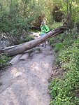 2024-04-14_10-27-31