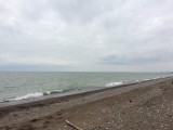 IMG_1019