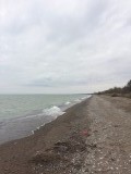 IMG_1032