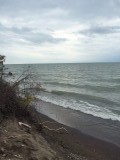 IMG_1110