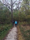 IMG_1154
