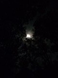 IMG_1192