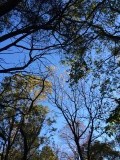 IMG_1229