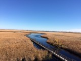IMG_1290