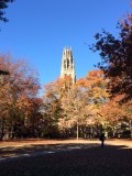 View from Old Campus