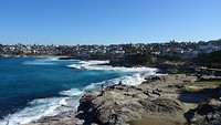 Coogee to Bondi coastal walk
