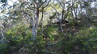 Balls Head Reserve