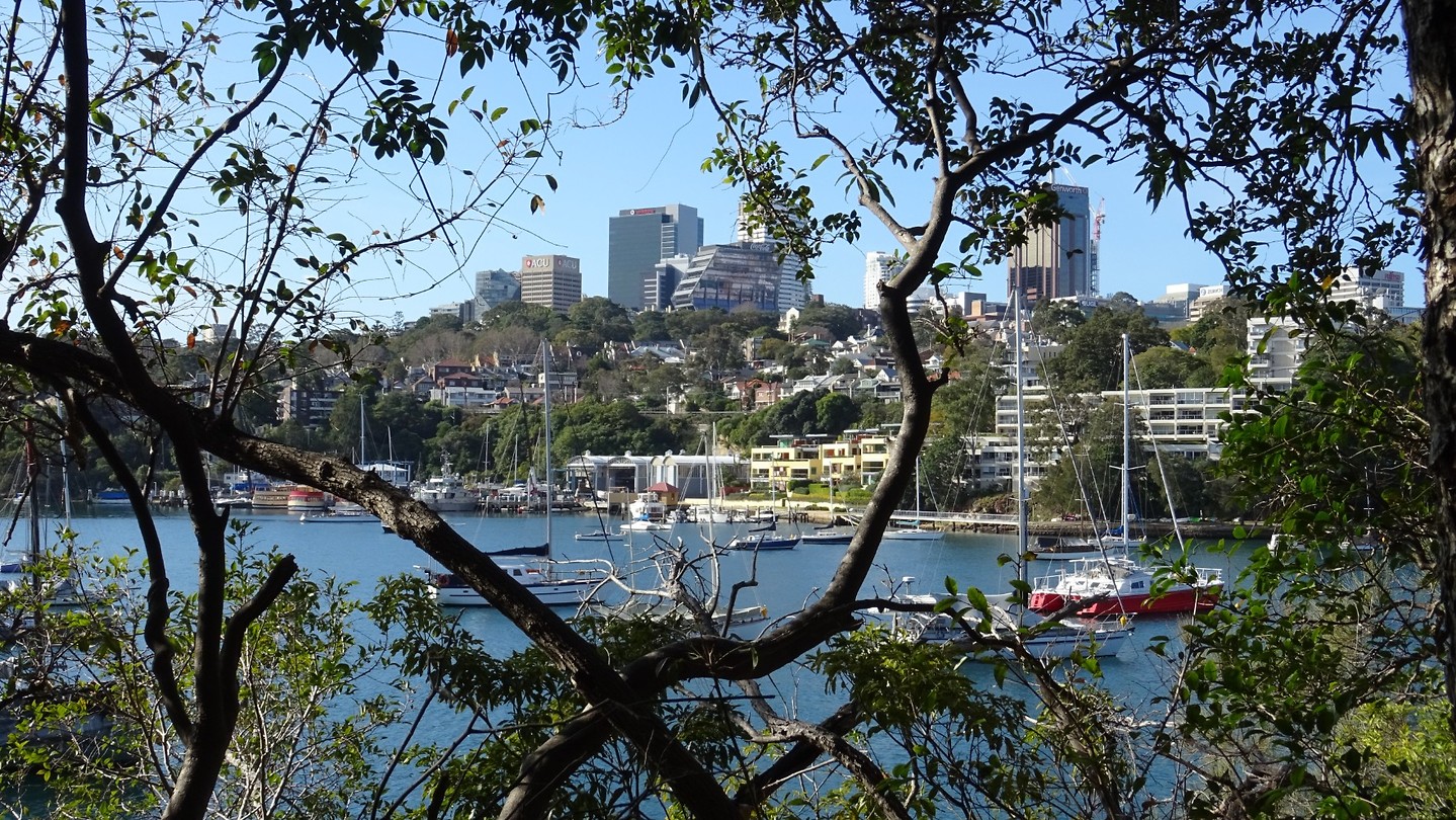 Balls Head Reserve