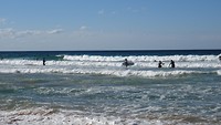 Manly beach