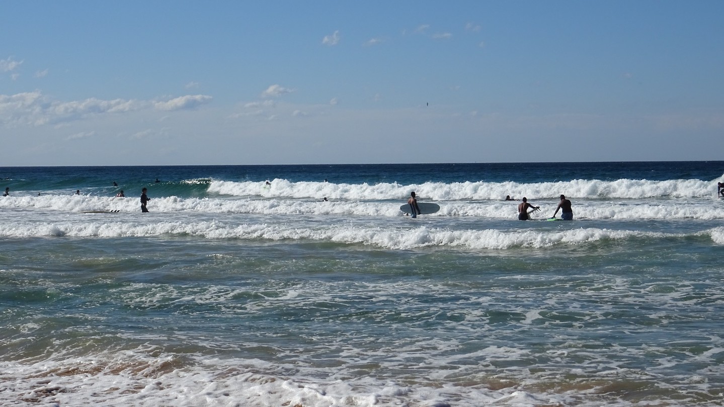 Manly beach
