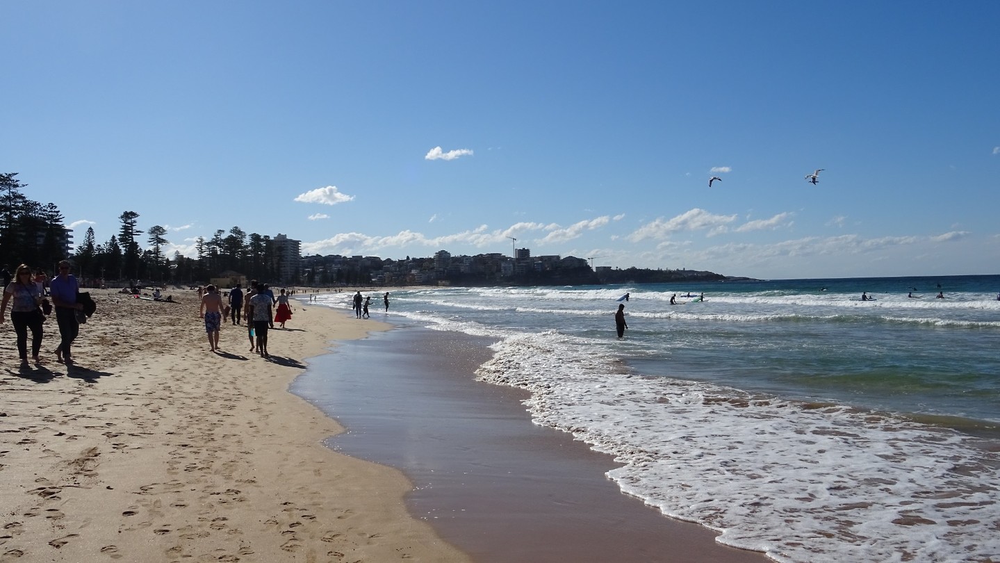 Manly beach