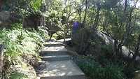 Spit Bridge to Manly coastal walk