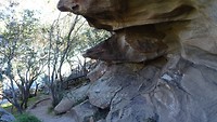 Spit Bridge to Manly coastal walk