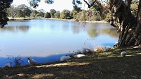 Run in Centennial Park