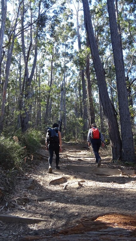 Pigeon House trail on camping trip in Morton NP