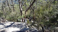 Pigeon House trail on camping trip in Morton NP