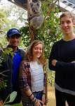 Koalas in Wild Life Sydney