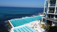 Bondi Icebergs pool