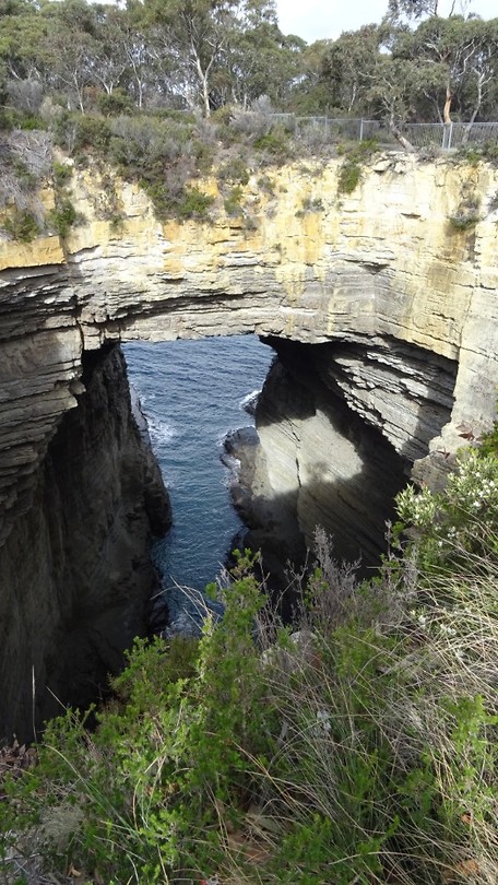 Tasman Arch