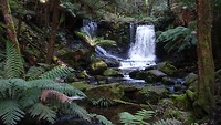 Horseshoe Falls