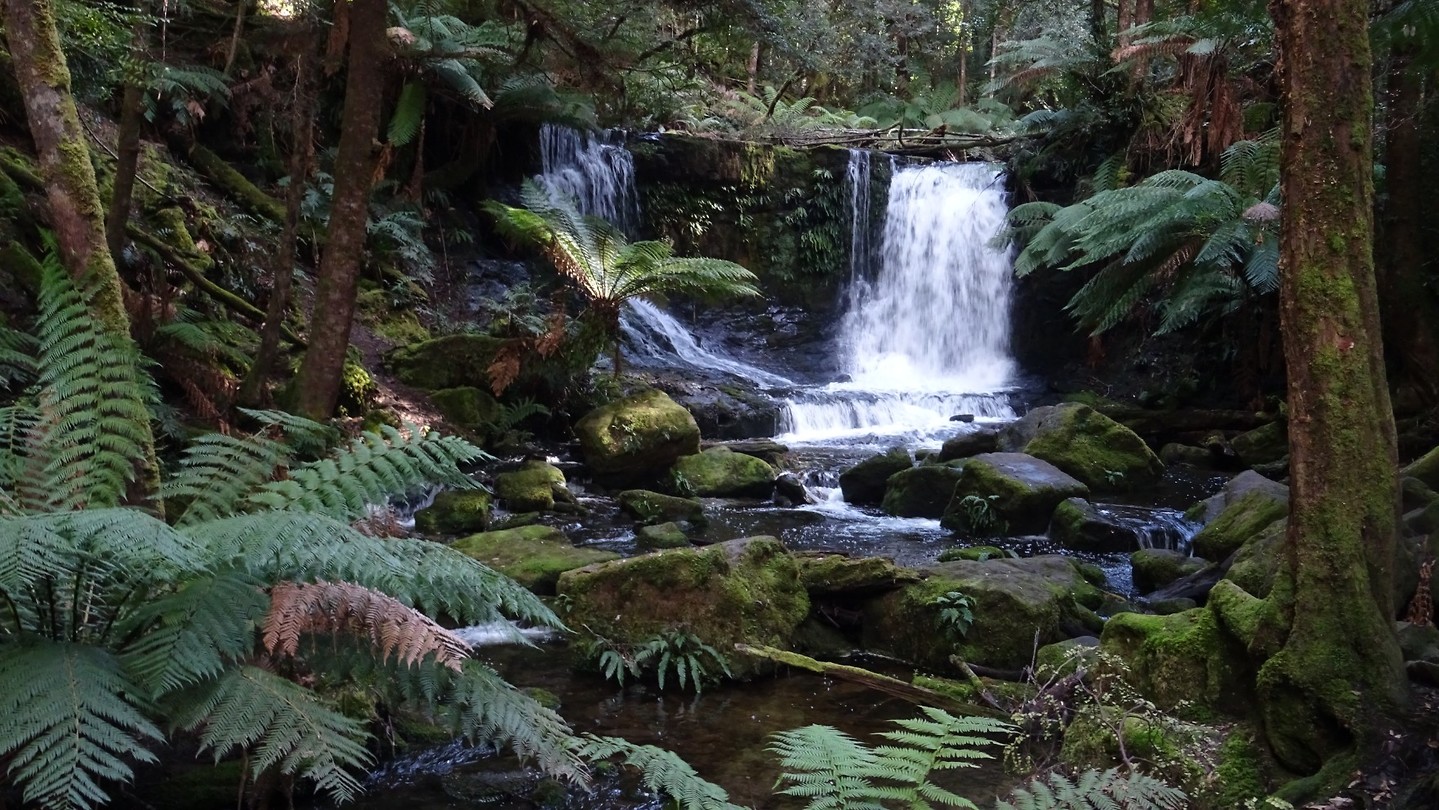 Horseshoe Falls