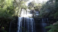 Russell Falls