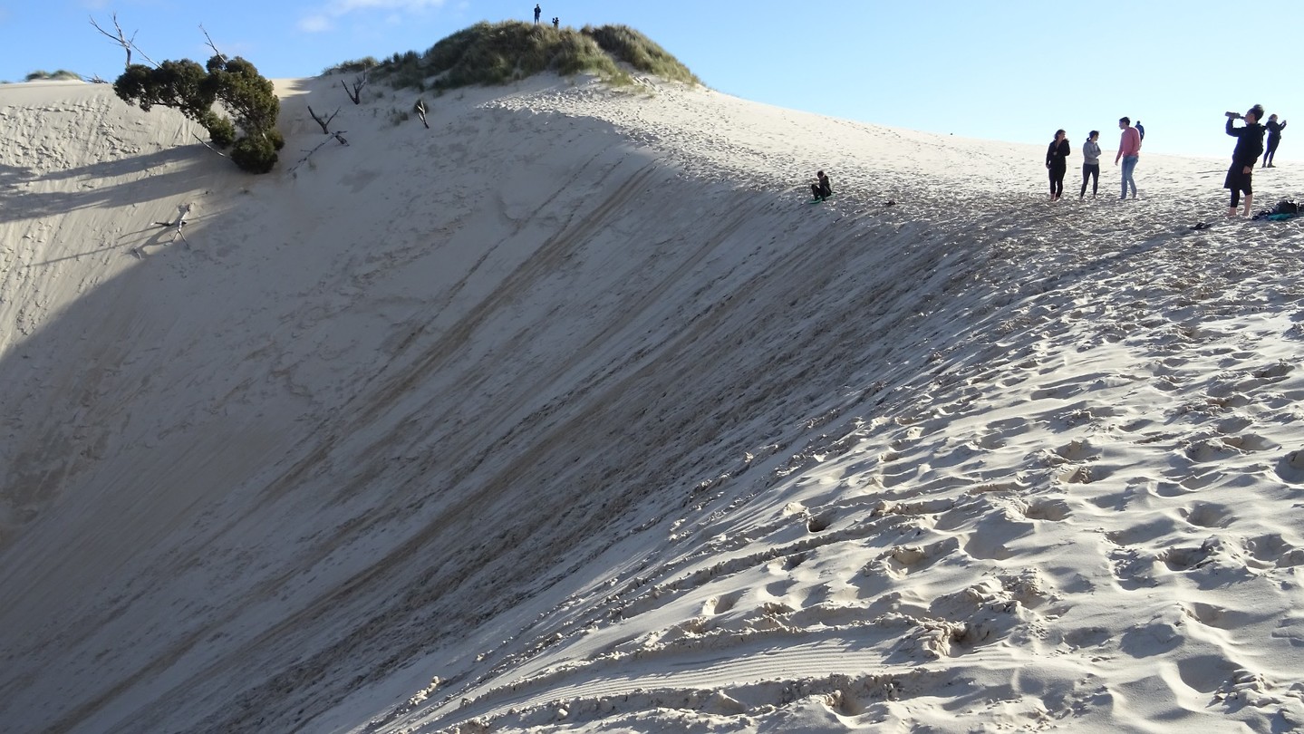 Sandsleding on the Henty Dunes