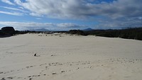 Henty Dunes